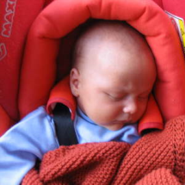 db_IMG_16811_Tb270x270jpg.png